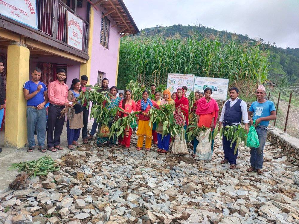 त्रिवेणीमा किसानलाई डाँले घाँसका विरुवा वितरण