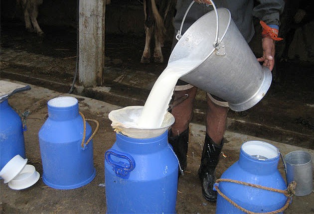दूधको मूल्य लिटरमा १० रुपैयाँ बढाउने तयारी